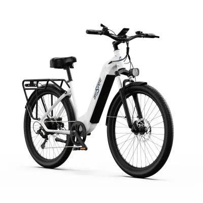 Vélo électrique tout-terrain, moteur 250 W – image 2
